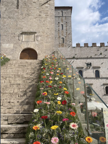 Nestled in the heart of Umbria, Todi beckons with its timeless charm and rich history. Explore the town's medieval streets, discover its architectural treasures like the Cathedral and Palazzo dei Priori, and savor panoramic views from the iconic Piazza del Popolo.